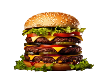   Ketchup, moutarde, oignons rouges, cornichons.